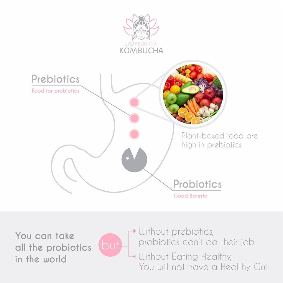 Probiotics - is it enough to achieve a healthy digestion system?